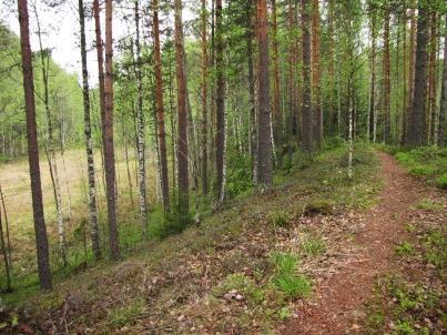 76 näkösyvyys todettiin noin kolmeksi metriksi. Veden kirkkauteen lienee syynä lammen lähteisyys.