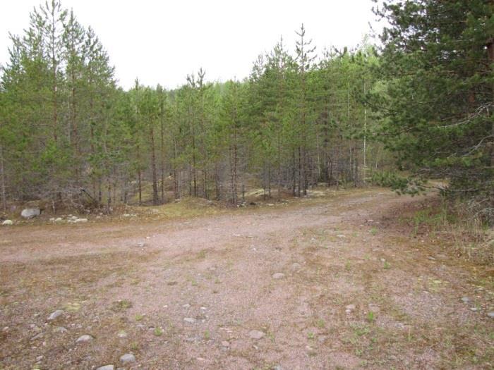 Luoteisrannan hylätyn soranottoalueen sukkessio viittaa kuivaan kankaaseen (VT). Profiililtaan maltillinen itäranta on pääasiassa tuoretta kangasta (MT).