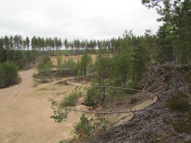 79 61. Haposuon pohjoislaita (LIITTEET, Kartta 6.) Osa-alue kattaa Selkäkankaantien eteläpuolella ja Haposuon luoteis- ja länsisivulla olevan osan deltaa.