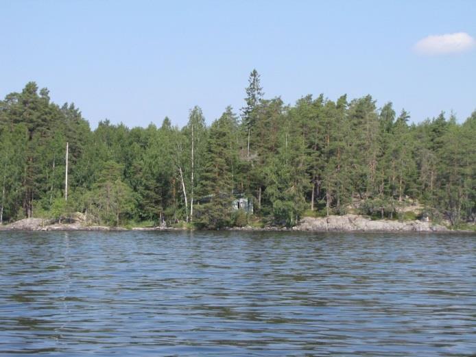 8 kasvilajisto todettiin tavanomaiseksi kangasmetsien lajistoksi ja rantojen kasvilajisto tavanomaiseksi reittivesien lajistoksi, jossa oli todettavissa itäsuomalaisille järville tyypillisiä lajeja