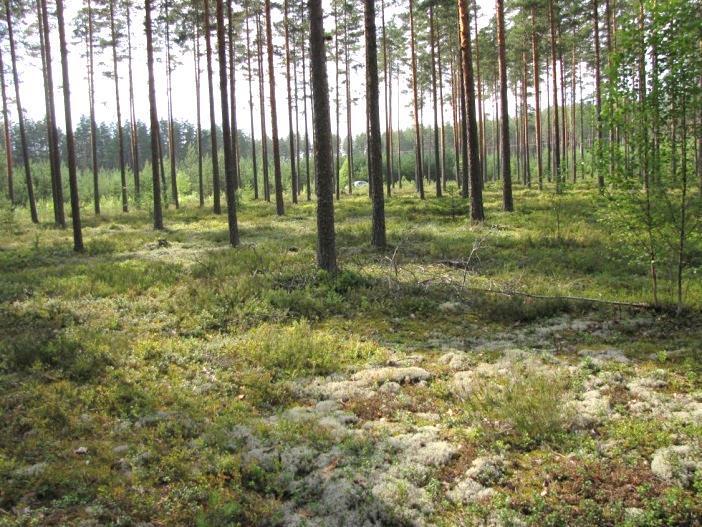 huomioitava maankäytön suunnittelussa. Alueen eteläosan syvä suppa on maisemallisesti merkittävä, jonka vuoksi se tulisi jättää nykytilaansa (LIITTEET, Kartta 6.). 66.