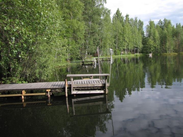 89 Lähteinen Olvenlampi on ilmeisesti ollut alun perin oligotrofinen vesi. Näkösyvyys esim. pohjoisrannalla todettiin inventoinnin yhteydessä yli 2m:ksi ja pohja liettymättömäksi.