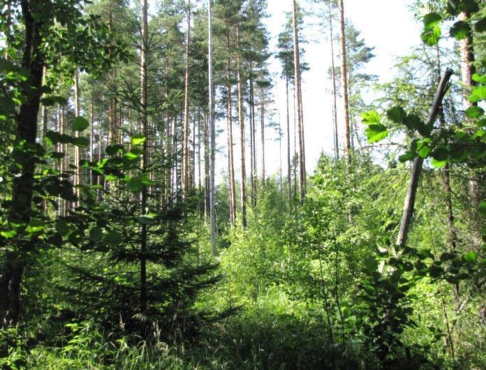 metsäviklo, liro, suokukko, kuovi, töyhtöhyyppä ja sepelkyyhky). Peltoaukean itäosassa todettiin usean viikon ajan kurkipari ruokailemassa yhden poikasen kanssa.