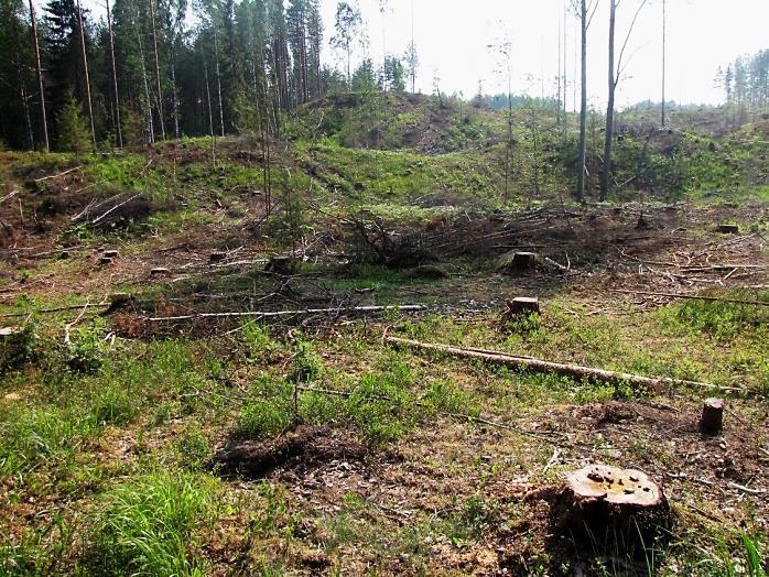 elinympäristöjä. Osa-alueella todettiin kangasvuokkoa, joka on luonnonsuojeluasetuksella rauhoitettu ja uhanalainen laji (VU - laji).