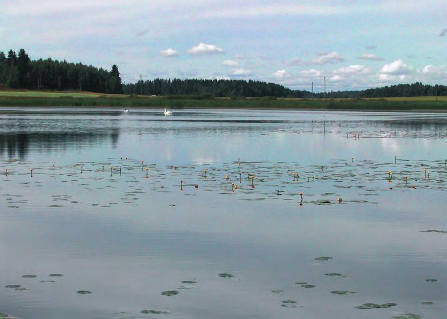 5 Kasvillisuuden muutokset 5.