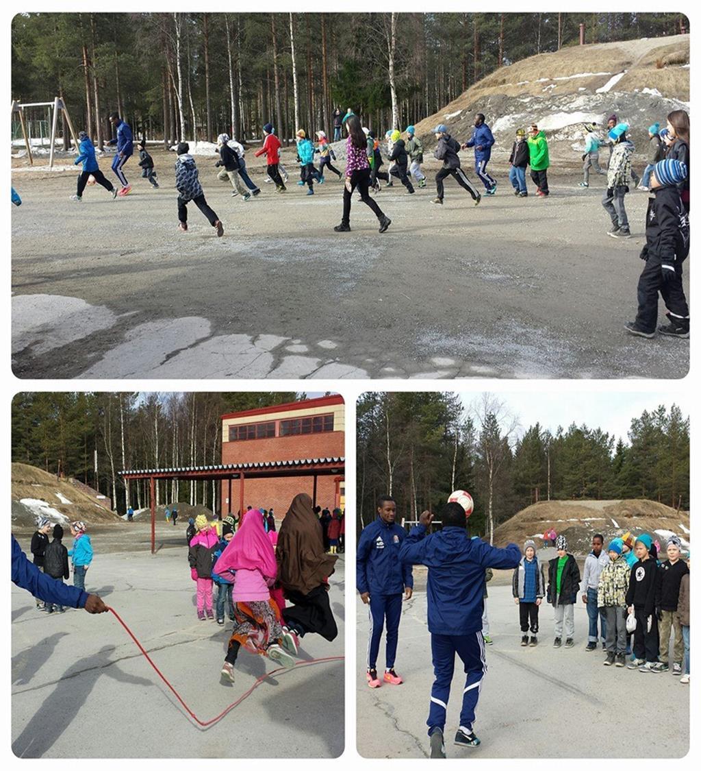 Yhteisössä yksilöt toimivat tavalla tai toisella yhdessä. Yhteisöä pitää myös johtaa ja sen toimintaa koordinoida.