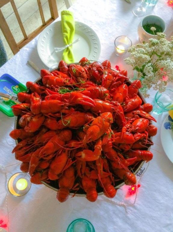 Crayfish party in the archipelago of Tammisaari.