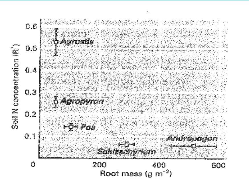 Pitkäaikaiskoe ilman N-lannoitusta: Agrostis (A) Agrostis (A) vs.
