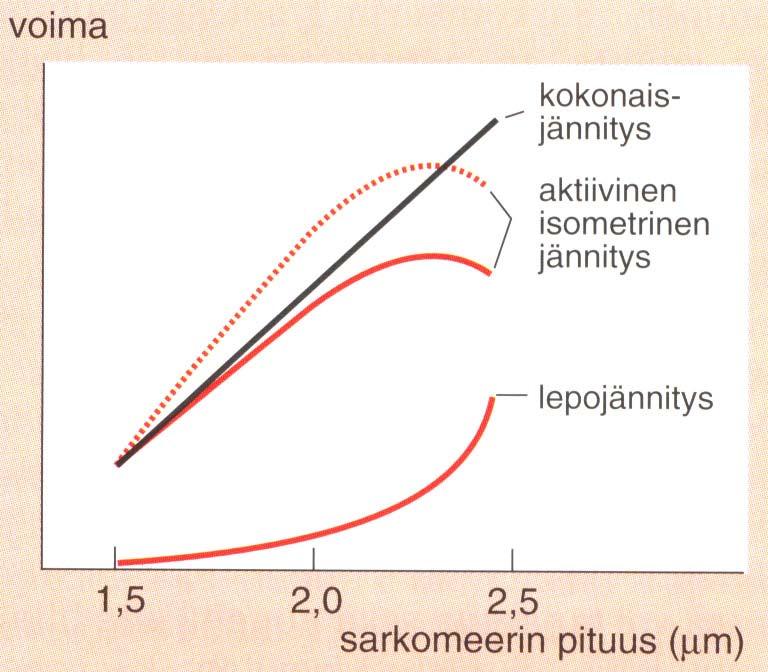 Heterometrinen mekanismi c) b) (systole) a) (diastole) c) Kuvaa sydämen supistumisvireyden eli