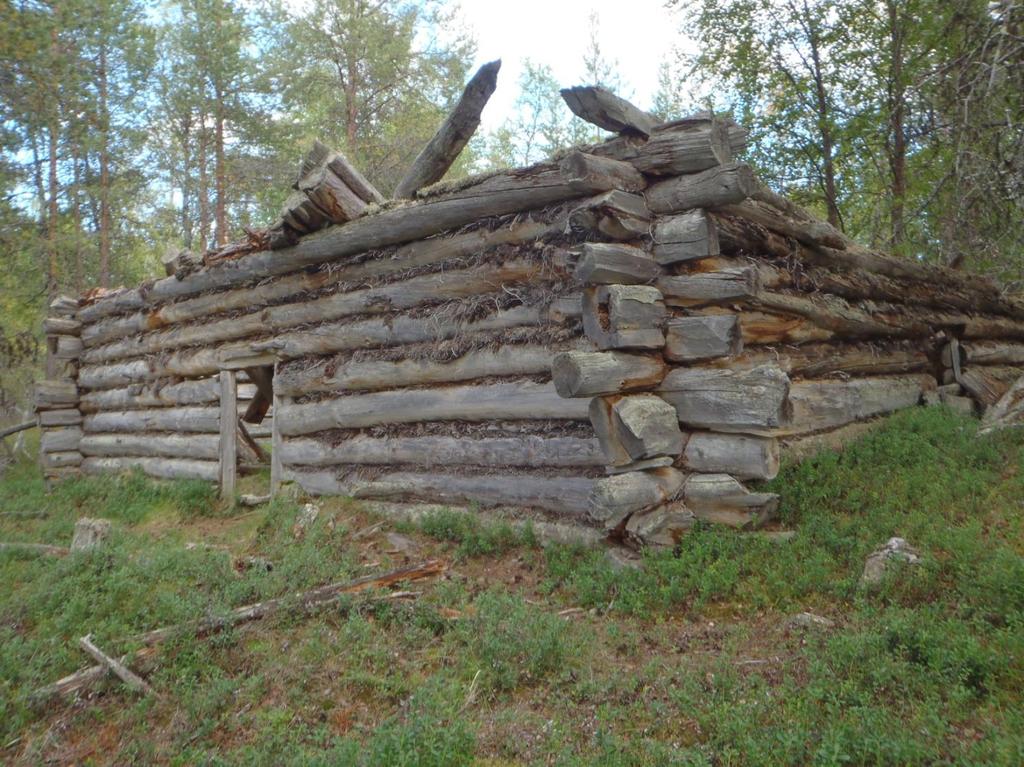 Metsähallitus, Metsätalous Juha-Pekka Joona Ivalon koillis- ja luoteispuolisten