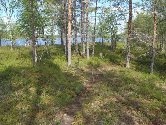 109 Olotila: Arvotus: 3 Esitys mj-luokka II Kohteen suojelu: 2 Ei käytössä 0 Ei määritelty Ympäristön suojelu: