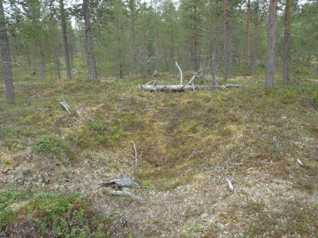 25 Ympäristön suojelu: 0 Ei