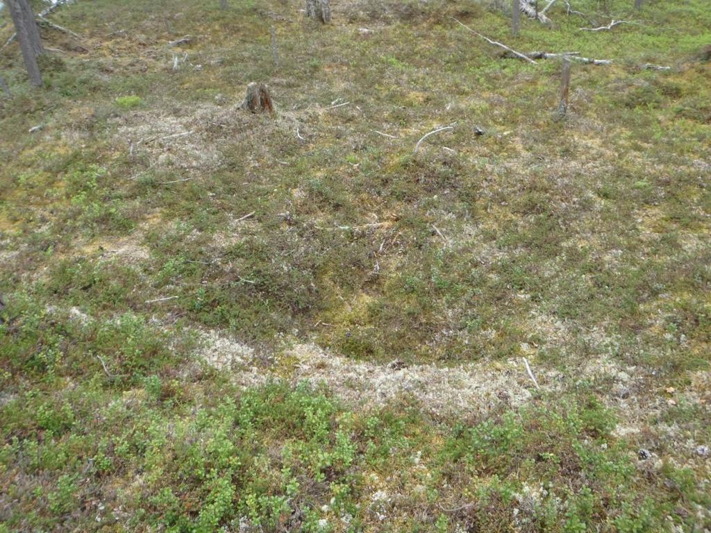 28 Ympäristön suojelu: 0 Ei