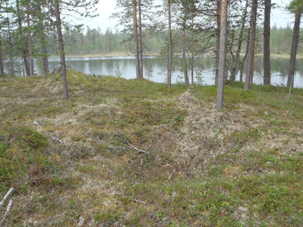 31 Ympäristön suojelu: 0 Ei