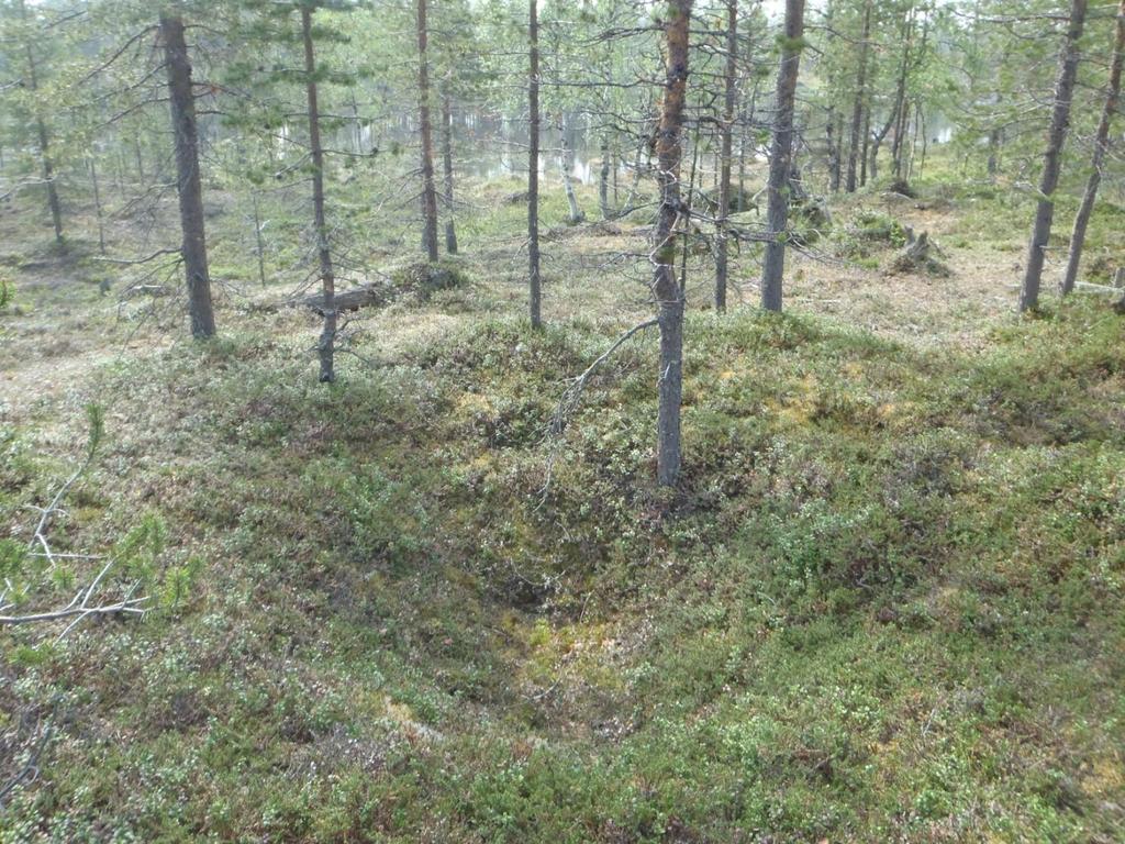 34 Ympäristön suojelu: 0 Ei