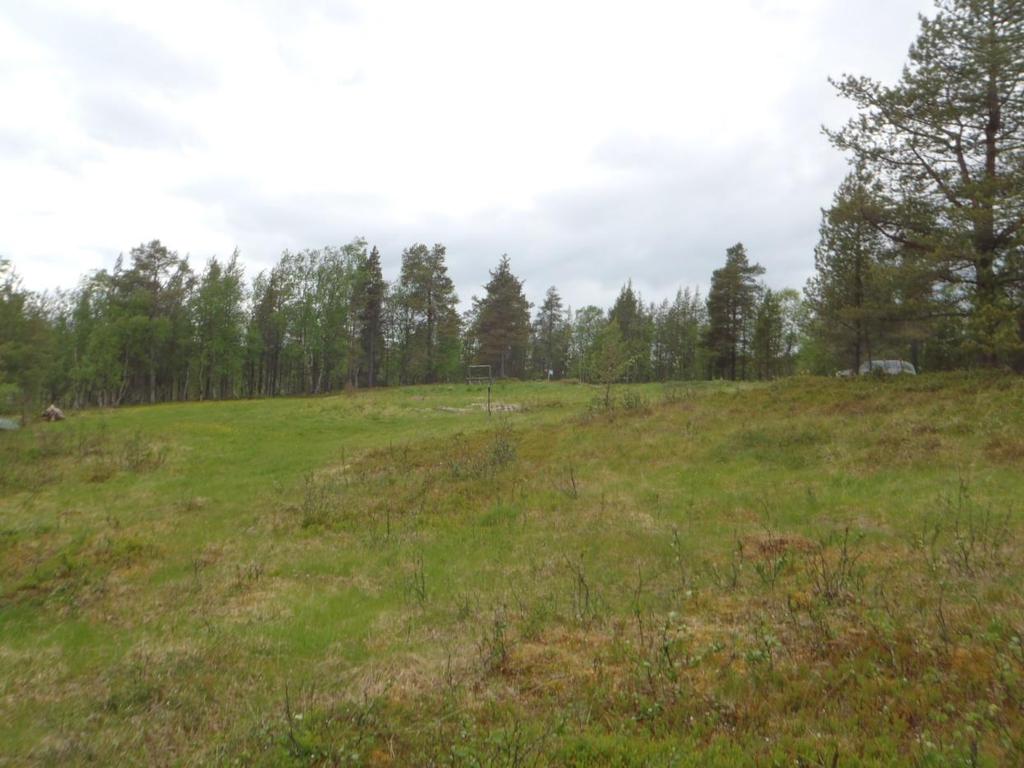 63 Kenttä kokonaisuudessaan kuvattuna