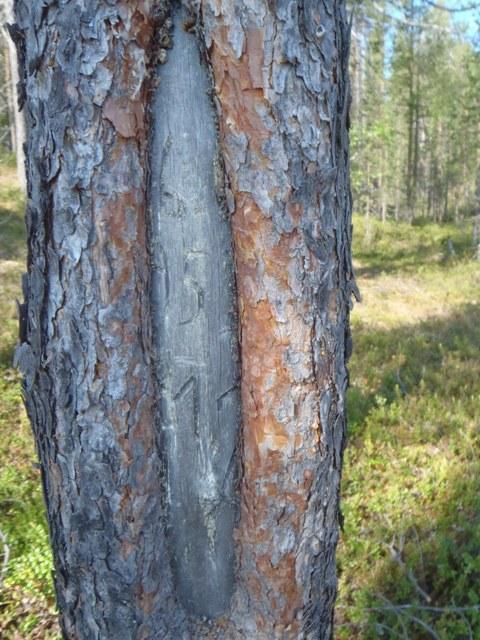 Kunto: Olotila: Arvotus: 3 Esitys mj-luokka II Kohteen suojelu: 1 Hyvä 2 Ei käytössä 9 Muu suojeluarvo Ympäristön