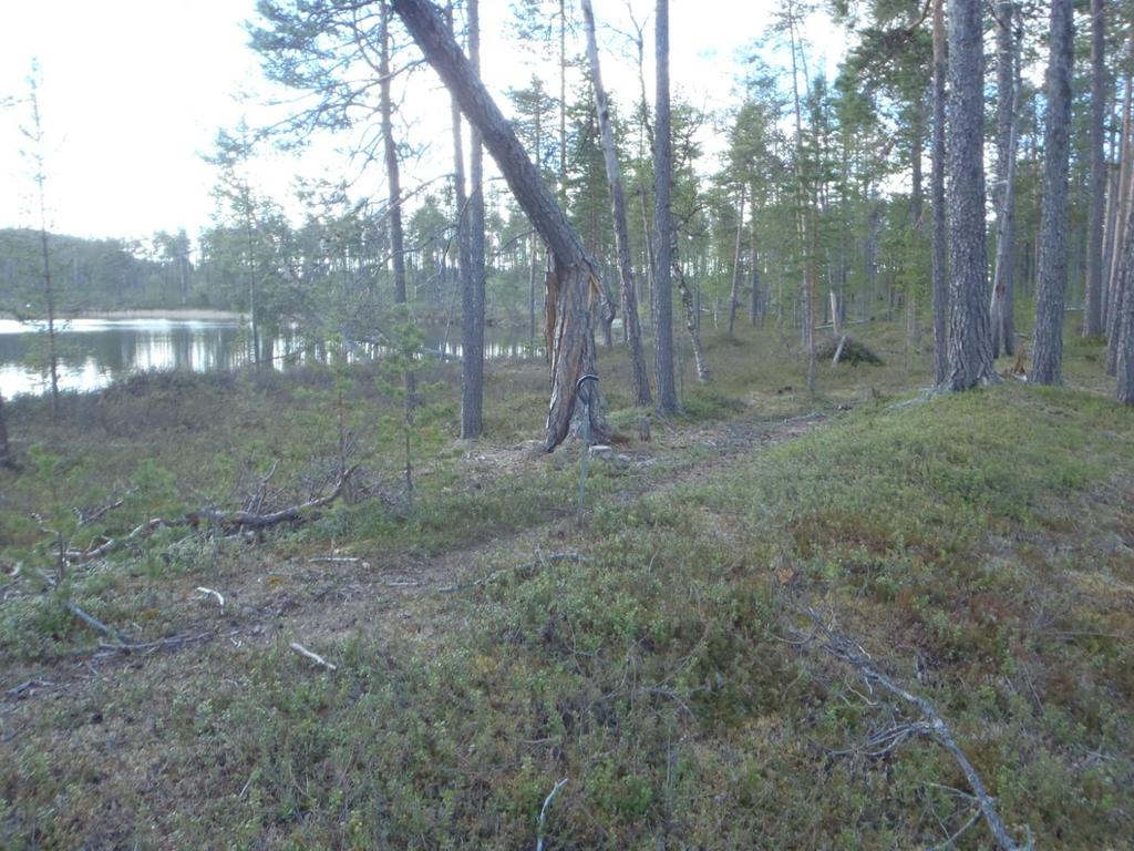 69 Olotila: Arvotus: 3 Esitys mj-luokka II Kohteen suojelu: 2 Ei käytössä 0 Ei määritelty Ympäristön