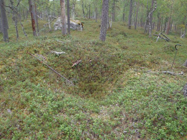 koilliseen.