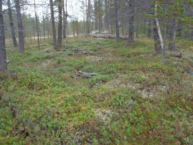 87 Tarkastukset Tila: 3 Toteutettu Laji: 6 Suojeluarvojen tarkastus Tarkastusvuosi: 2011 Tarkastuspvm: 5.9.2011 Tarkastaja: J.-P.