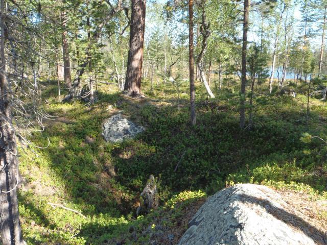 91 suojelu: Ympäristön suojelu: 0 Ei