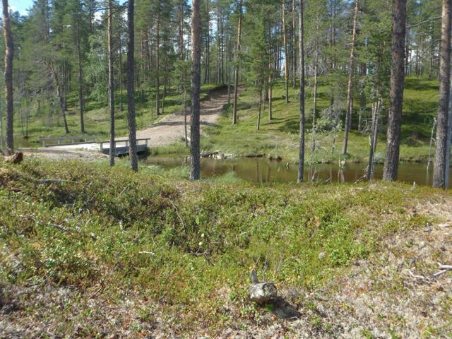 94 Ympäristön suojelu: 0 Ei