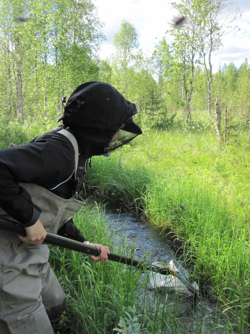 Osa I Biologisia seurantamenetelmiä turvemaiden käytön vesistövaikutusten arviointiin kirjallisuusselvitys Minna