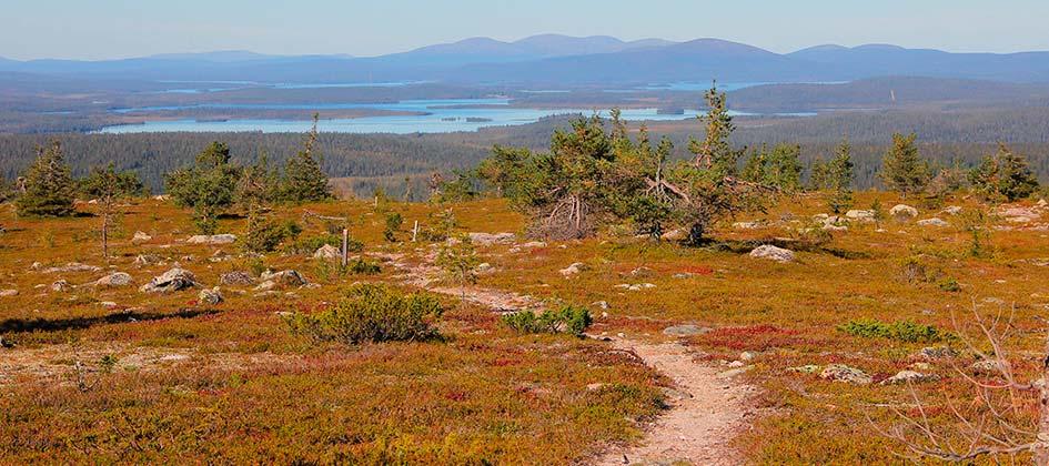 5.4.4 Ylläs Aakenustunturien alue Linkukeronkierros, 7,5 km Linkukeron kierrokselle pääsee Äkäskeron hotellille vievältä tieltä. Reittiä ylläpidetään erämaareittinä.