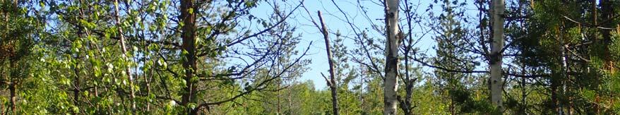 Suomen ensimmäinen luontotyyppien uhanalaisuusarviointi valmistui vuonna 2008 (Raunio ym. 2008).