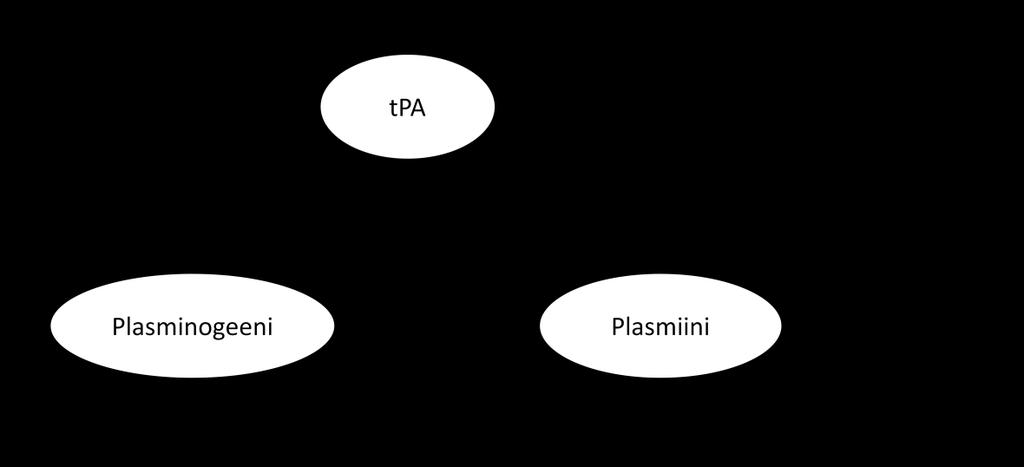 5 Kuva 2. tpa-plasminogeeni-plasmiini järjestelmä. Kudoksen plasminogeeniaktivaattori (tpa) katalysoi inaktiivisen plasminogeenin muuttumista aktiiviseksi seriiniproteaasi plasmiiniksi.