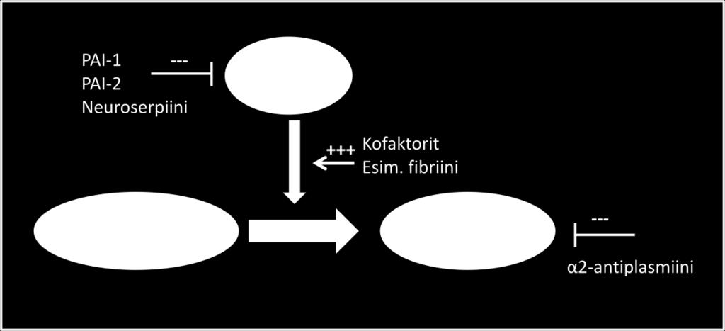 Plasmiinin toimintaa estää α 2 -antiplasmiini. tpa:n aktiivisuutta säätelevät serpiinit eli seriiniproteaasi-inhibiittorit: PAI-1 (engl.