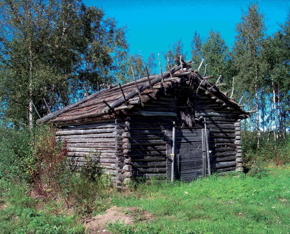 Riikka Nevalainenen Monet mesipistiäislajit käyttävät pesäpaikkanaan vanhoja puurakenteita tai lahopuita. Latojen vähentyminen voi heikentää niiden elinmahdollisuuksia.