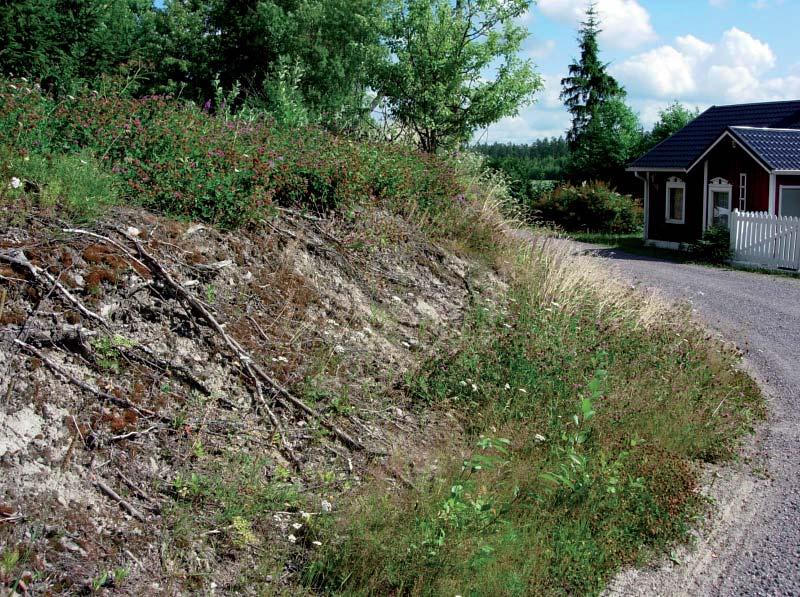 Janne Heliölä Osittain paljaat, kukkarikkaat paahderinteet ovat mesipistiäisille mieluisia pesimisympäristöjä.