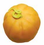 Huikeat herkut Halloween juhliin! ALUE- 04221 ELONEN HALLOWEEN MUNKKI 210 g 2 kpl / pkt 04229 ELONEN HALLOWEEN MUNKKI IRTO 105 g AL 6 kpl LEIPÄLTK 10 PKT LEIPÄLTK 4 AL SAATAVILLA 19.10. alk.