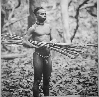 Andamaaneja vuosia tutkinut Edward Man ei löytänyt mitään merkkiä nuolimyrkyistä (1932, 138).