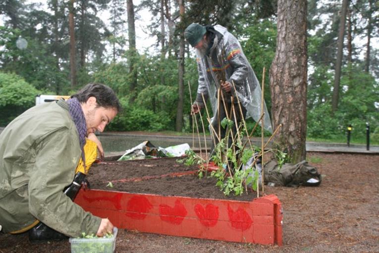 Suomen talkoot ry/haist Kukkanen (2014) Yhdistys rakensi laatikot ja hankki siemenet / taimet Kaupunki myönsi luvan viljelylaatikoiden sijoittelulle