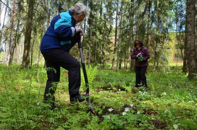 Tesoman metsäpuutarha (2015->) Villi vyöhyke ry käynnisti ja koordinoi Kaupunki myönsi metsän käyttöön Tarkoituksena