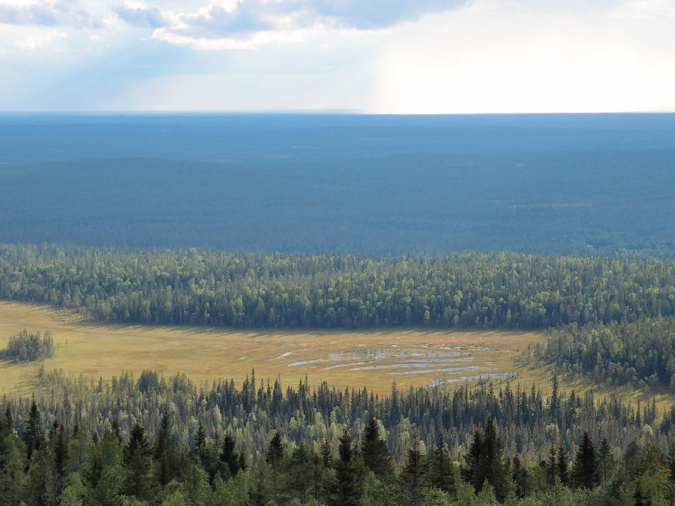 Ruskeat rimpiset vesiperät vetävät metsiä ja maita kierrokseensa, ja pitkin hetteisin, kuloisin käsivarsin ne kurottelevat joka suunnalle toisiaan tavoitellen.