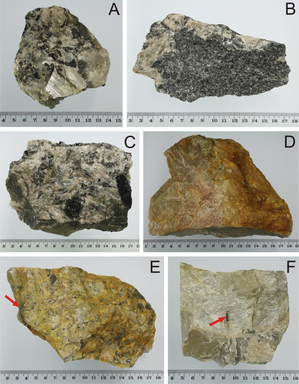 42 Kuva 15. Salitun avolouhoksen havainnon 1 loivakaateisen ja vyöhykerakenteisen graniittipegmatiittijuonen kivinäytevalokuvat.