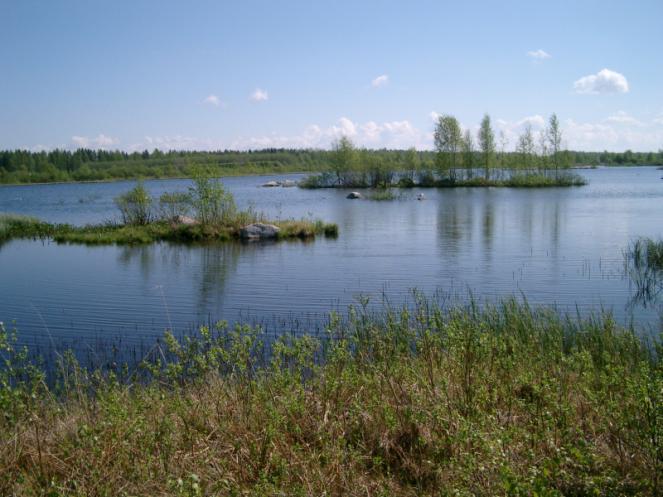Kosteikko Kaihlalammen kosteikko,