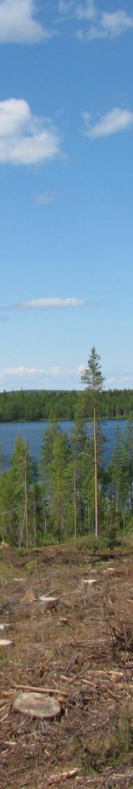 Sisältö Mistä metsätalouden vesistökuormitus syntyy?