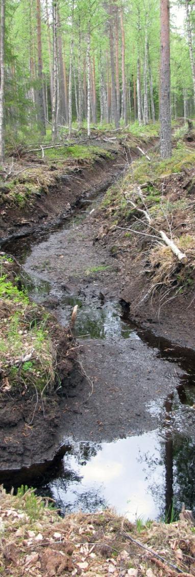 Metsätalouden kuormituksen ominaispiirteitä Itä- ja Pohjois-Suomessa metsätalouden kuormitus järvien osalta vastaa maatalouden kuormitusta.