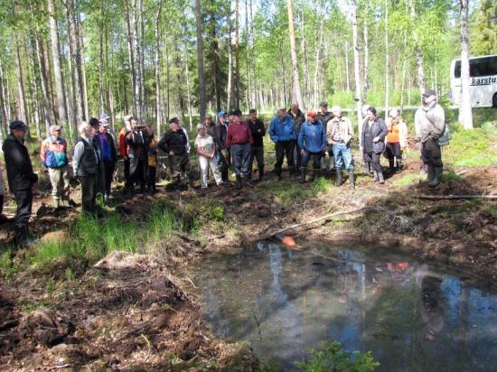ja perkauskatkot, laskeutusaltaat ja pienimuotoinen