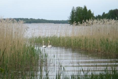 KarTuTa-faktoja www.ymparisto.