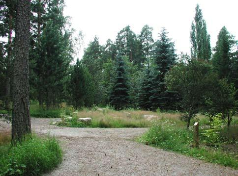 ARBORETUM YSTÄVYYDENPUISTO Vantaan