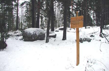 Kuivan kangasmetsän ja kalliolaen mäntyvaltainen metsikköalue on harvennettu jokseenkin lopulliseen tiheyteensä.