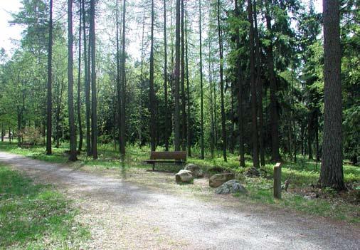 Levähdyspaikat odottavat arboretumin vierailijoita Lähdeaineisto: Asemapiirustus nro. 37 753, 2003, Arboretum, Vantaan kaupunki, Maankäytön ja ympäristön toimiala, Viheralueyksikkö Välimäki E.