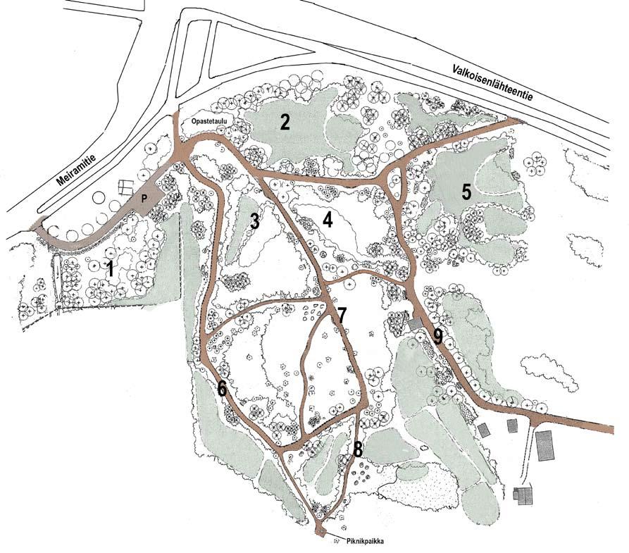 Arboretumin puut ja pensaat, kartat 0m 30m 60m Arboretum sijaitsee Tikkurilan Koivuhaassa.