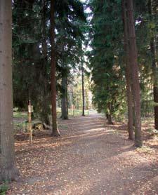 Puuston sekaan on istutettu lehmuksen, saarnen ja punasaarnen metsätaimia, sekä isompina taimina jalavia, siipipähkinää, saarnea ja erilaisia pajuja.