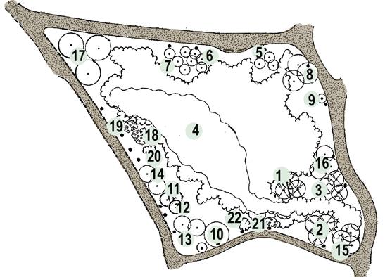 Aukkokohtiin istutetut hemlokit ja makedonianmännyt vapautetaan vadelmakasvustoista. Opastetaulun sivustan näkymäalue arboretumin sisäosiin säilytetään avoimena.